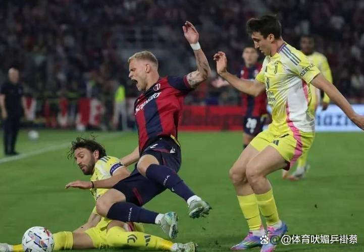 意甲比赛现场直击，情景逼真感人的简单介绍