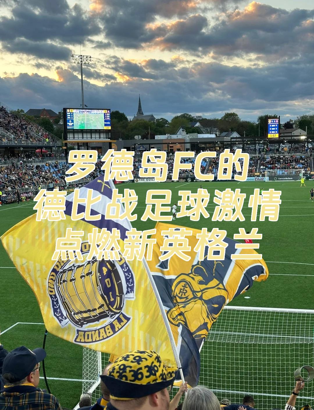 包含德国队客场击败冰岛，继续保持不败纪录的词条